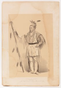 Joc-o-sot, el Oso Caminante de George Catlin