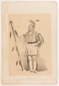 Joc-o-sot, el Oso Caminante de George Catlin