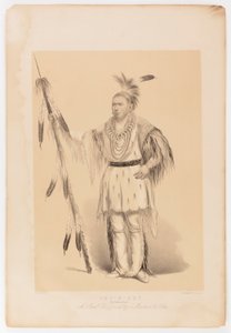 Joc-o-sot, el Oso Caminante de George Catlin