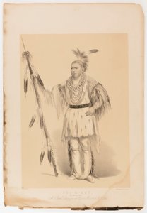 Joc-o-sot, el Oso Caminante de George Catlin