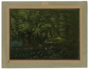 Bosque Exuberante en la Orilla del Amazonas de George Catlin