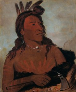 Mah-tó-che-ga, Osito, un valiente Hunkpapa de George Catlin