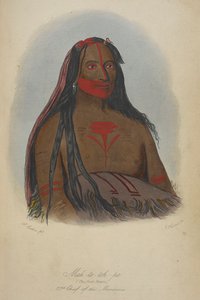 Mah-to-toh-pa (los cuatro osos) 2º jefe de los mandanes. de George Catlin