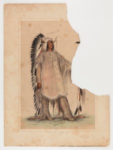 Mah-to-toh-pa, el Jefe Mandan de George Catlin