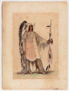 Mah-to-toh-pa, el Jefe Mandan de George Catlin