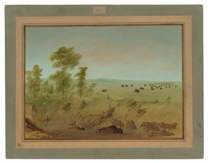 Búfalo Atascado y Lobos de George Catlin