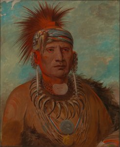 Neu-mon-ya, Lluvia Andante, Jefe de Guerra de George Catlin