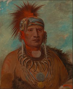 Neu-mon-ya, Lluvia Caminante, Jefe de Guerra de George Catlin