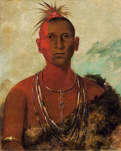 Náh-se-ús-kuk, Trueno Torbellino, Hijo Mayor de Halcón Negro de George Catlin