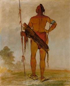 Pa-hú-sha, Pelo Blanco, el Joven, un Jefe de Banda de George Catlin