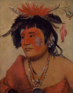 Pah-shee-náu-shaw, un guerrero de George Catlin