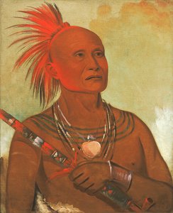Pam-a-hó, El Nadador, Uno de los Guerreros de Halcón Negro de George Catlin