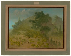 Montaña de Rododendros de George Catlin