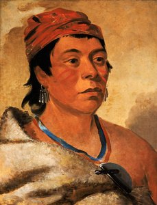 Round Island, un guerrero, 1831 de George Catlin