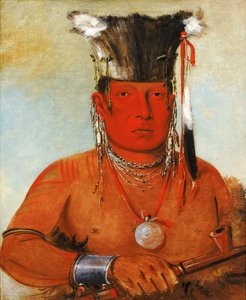Sháw-da-mon-nee, Ahí va, un valiente de George Catlin