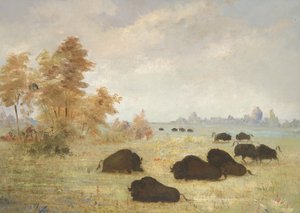 Acechando a Buffalo, Arkansas de George Catlin