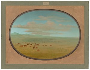 Ganado salvaje pastando en la Pampa del Sacramento de George Catlin