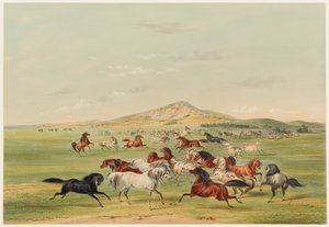 Caballos salvajes jugando de George Catlin