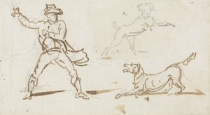 Un hombre lanzando una pelota a un perro