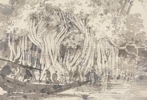 Un árbol pipul de George Chinnery