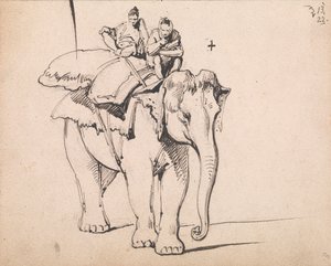 Un elefante