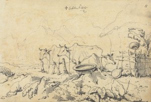 Tres vacas atadas