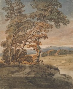 Árboles en una ladera de George Chinnery