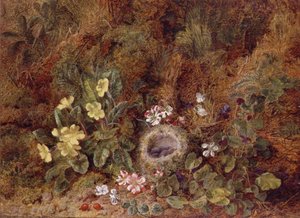 Naturaleza Muerta con Nido de Pájaros y Flores Silvestres de George Clare
