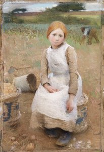 Pequeña Rosa
