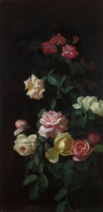 rosas de George Cochran Lambdin