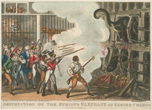 Destrucción del elefante furioso en Exeter Change, 1826 de George Cruikshank