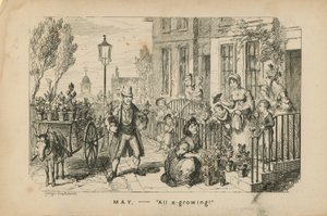 Mayo - todo floreciendo de George Cruikshank