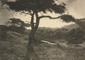 Camera Work: The Long Arm de George Davison