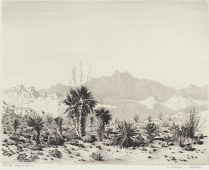 Un espejismo, Arizona de George Elbert Burr