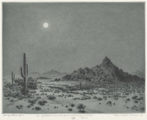 Noche en Arizona