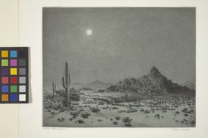 Noche de Arizona