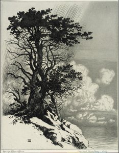 Costa en Monterey, California de George Elbert Burr