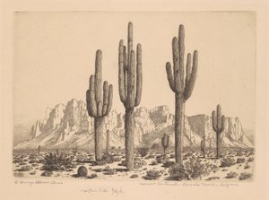 Centinelas del desierto, Apache Trail, Arizona