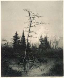 Por la noche de George Elbert Burr