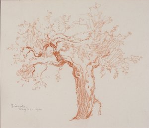 Fiesole de George Elbert Burr