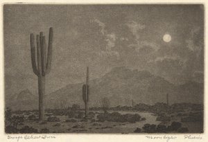 Moonlight-Phoenix
