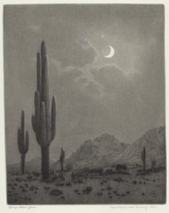 Luna nueva y estrella vespertina