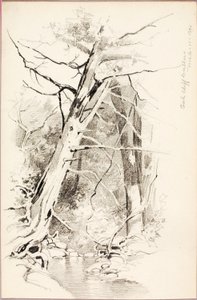 Oak Cliff, Dallas de George Elbert Burr
