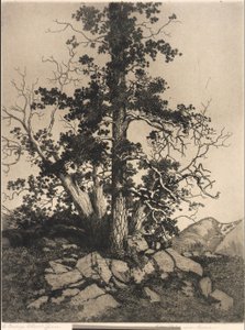  de George Elbert Burr
