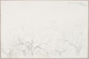 Aceitunas--Fiesole de George Elbert Burr