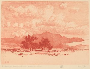 Árboles de palo verde de George Elbert Burr