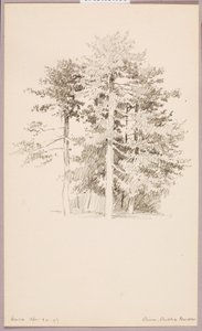 Pinos, Jardín público
