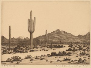 Camino al Valle del Paraíso, Arizona
