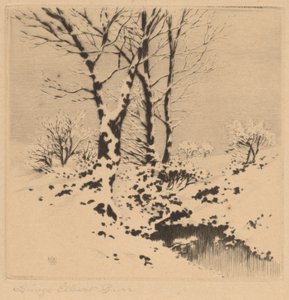 Nieve