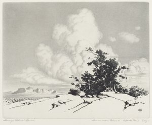 Nube de verano, Apache Trail, Arizona